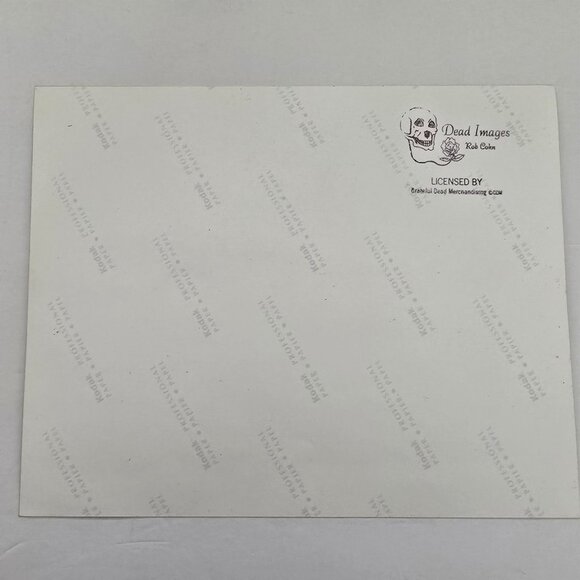 Phil Lesh Licensed Photo Print By Dead Images Rob Cohn Of Grateful Dead Musician - Picture 8 of 16